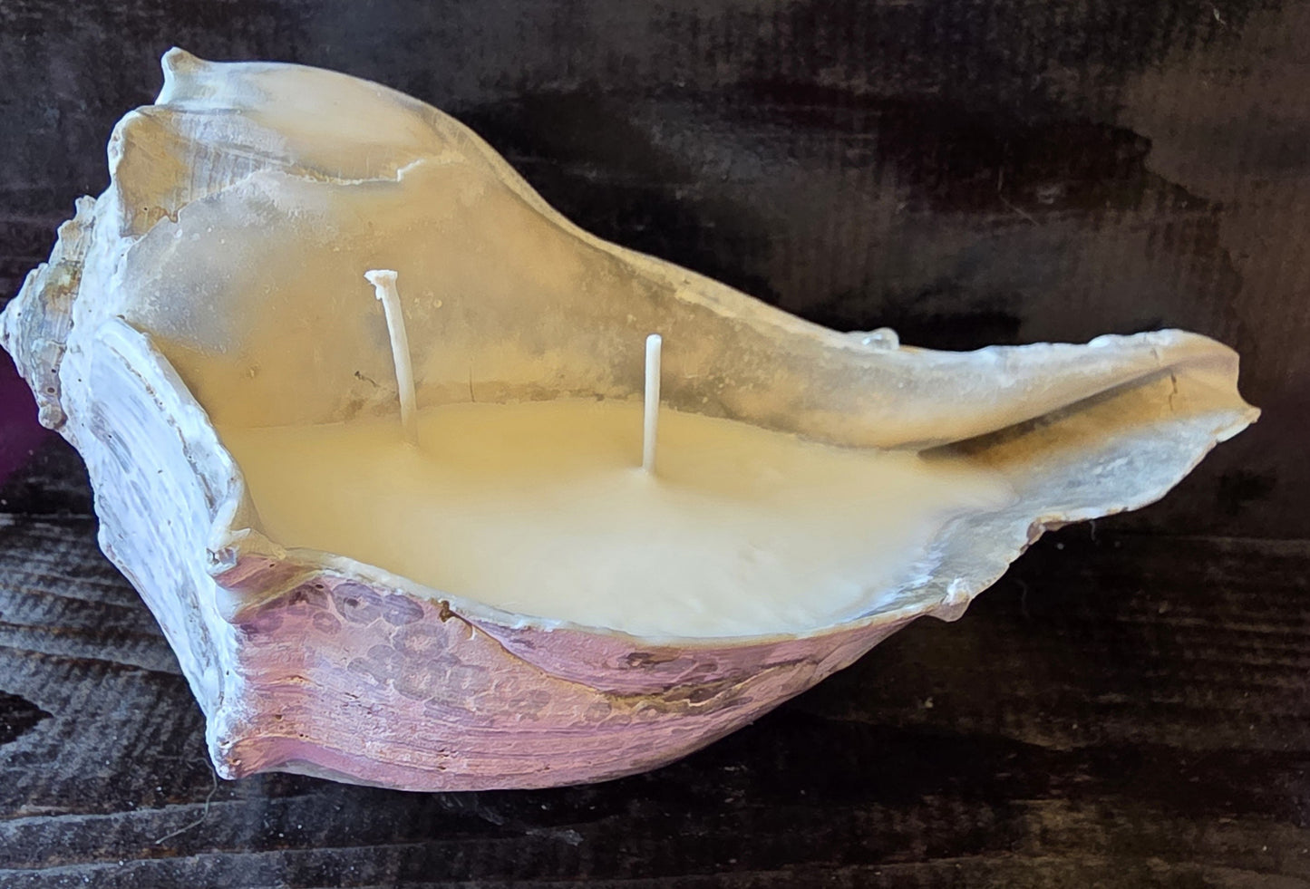 Natural Seashell Double-Wick Candle – Fruit Slices